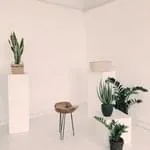 欧冠直播